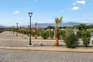 a row of palm trees and lights on a street at RV41-LOT ONLY- Paradise RV park in Desert Hot Springs