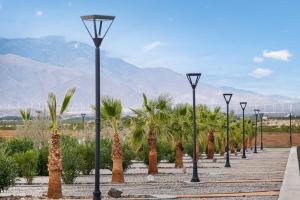 a row of street lights with palm trees and mountains at RV41-LOT ONLY- Paradise RV park in Desert Hot Springs