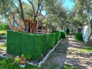 una valla de protección frente a un patio con flores en Bungalow with Garden and Air Conditioning, 150m to the Sea in Bademli, Sleeps 6, en Dikili