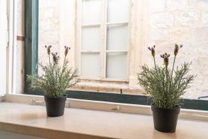 two potted plants sitting on a window sill at Kenova Apartments Old Town in Dubrovnik +58 photos