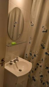 ein kleines Badezimmer mit Waschbecken und Spiegel in der Unterkunft Av.Alvear/Patio Bullrich/Four Seasons Hotel area. in Buenos Aires