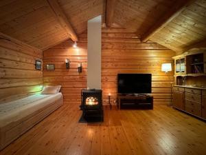a room with a fireplace and a bed and a tv at Traditional Norwegian log cabin with sauna by the sea in Tornes