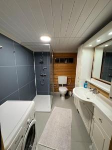 a bathroom with a shower and a toilet and a sink at Traditional Norwegian log cabin with sauna by the sea in Tornes