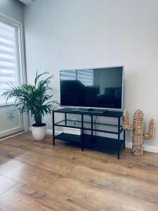 sala de estar con TV y planta en Apartment Tullikatu, en Kristinestad