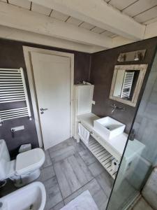 ein Badezimmer mit einem Waschbecken, einem WC und einem Spiegel in der Unterkunft Chapa Pituca Boutique in San Martín de los Andes