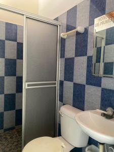 a bathroom with a toilet and a sink at Hotel Las Palmas in La Virginia +26 photos