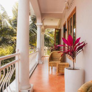 a porch with a potted plant in a pot at The Nest in Kigali