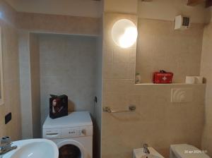 Un baño con una lavadora con un perro encima. en Riva City Heart, en Riva del Garda