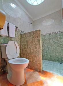 a bathroom with a toilet and a shower at Auto Hotel Estrella del Sur in Oaxaca City