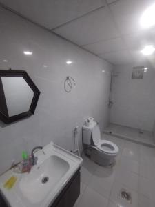 a bathroom with a sink and a toilet and a mirror at Waid Rum Jordan Jordan in Wadi Rum