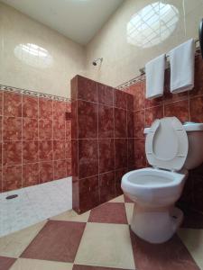 La salle de bains est pourvue d'une douche et de toilettes. dans l'établissement Auto Hotel Estrella del Sur, à Oaxaca