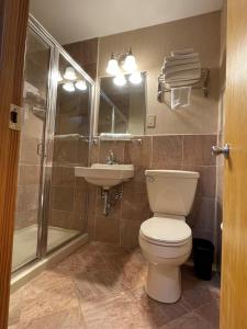 uma casa de banho com um WC, um lavatório e um chuveiro em The Lamplight Inn em Lavallette