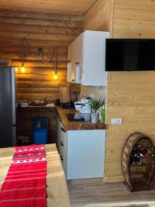uma cozinha com um frigorífico branco e um balcão em Cabana MOIGRAD-POROLISSUM em Zalău