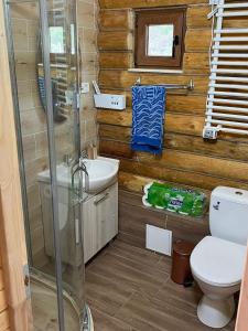 uma casa de banho com um WC e uma cabina de duche em vidro. em Cabana MOIGRAD-POROLISSUM em Zalău