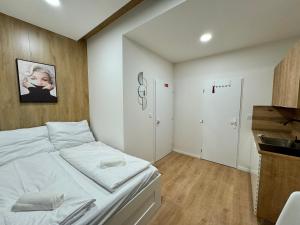 Kuchyň nebo kuchyňský kout v ubytování Zitna Downtown Apartments + 31 fotografií