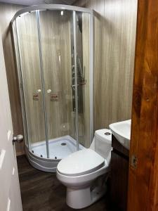 uma casa de banho com um chuveiro, um WC e um lavatório. em Alojamiento rústico Belloto (3) em Quilpué