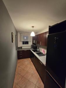 eine Küche mit einem schwarzen Kühlschrank und einer Spüle in der Unterkunft Apartament Sosnowiec in Sosnowiec