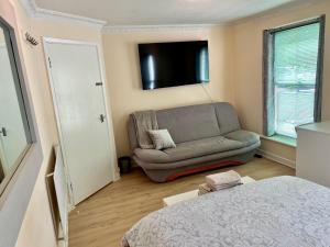 a living room with a couch and a television at Coco’s Homestay - Sidmouth in Reading