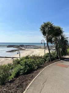 uma estrada que leva a uma praia com palmeiras em Lucerne B&B em Lyme Regis