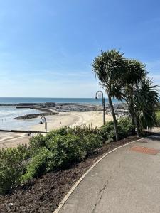 a road leading to a beach with palm trees at Lucerne B&B in Lyme Regis