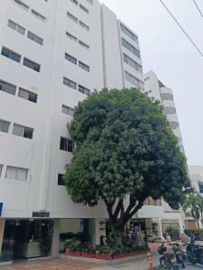 a large building with a tree in front of it at Suite Hermosa ven descansa o trabaja El Rodadero Santa Marta in Gaira