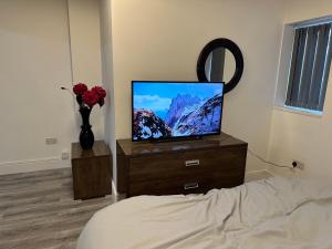 TV a/nebo společenská místnost v ubytování Luxury en-suite rooms