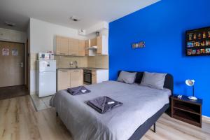 Park Residence Blue suite- Free parking 1082 Budapest, Corvin sétány 3B kép - 2