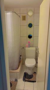 La petite salle de bains est pourvue d'une douche et de toilettes. dans l'établissement Apartamento Acogedor en el centro de Basilea, à Bâle