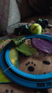 a paper plate with a toy on top of a table at Badger's Sett in Bathgate