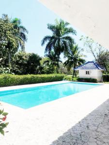 uma piscina azul com casa e palmeiras em VILLA GUAVABERRY n em Paraíso