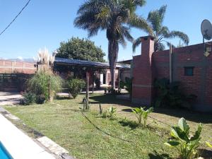 a house with a palm tree in the yard at MI REFUGIO in Cerrillos