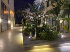 um pátio com palmeiras num edifício à noite em Appartement élégant em Sousse