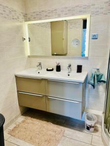 La salle de bains est pourvue d'un lavabo et d'un miroir. dans l'établissement Apparemment rooftop marseille, à Marseille