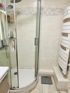 La salle de bains est pourvue d'une douche avec une porte en verre. dans l'établissement Apparemment rooftop marseille, à Marseille