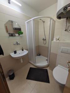 W łazience znajduje się prysznic i umywalka. w obiekcie Penzion Grand Nymburk w mieście Nymburk