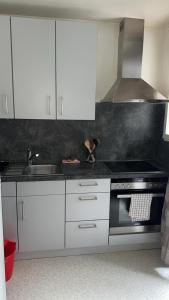 a kitchen with white cabinets and a stove top oven at Excelente Apartamento en el centro de Basilea in Basel