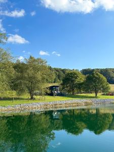 un lago con árboles y una casa en el fondo en Modern Tiny Home, 