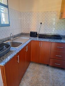 a kitchen with a sink and a counter top at OKRA HOUSE in Entebbe