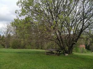 einen Picknicktisch unter einem Baum auf einem Feld in der Unterkunft Guesthouse Nemanja in Šljivovica