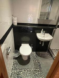 a bathroom with a toilet and a sink at The Snug - Luxury En-suite Cabin with Sauna in Grays Thurrock in Grays Thurrock
