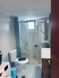 a bathroom with a shower and a toilet and a sink at Grand House in Agios Nikolaos