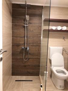 ein Badezimmer mit Toilette und Duschabtrennung aus Glas in der Unterkunft Apartman Dušan Trebinje in Trebinje + 5 Fotos