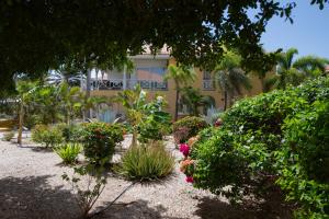 Κήπος έξω από το Masbango Beach Resort