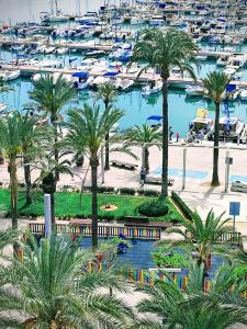 vista su un porto turistico con palme e barche di Tranquilo apartamento con vistas al mar. a Port d'Alcudia