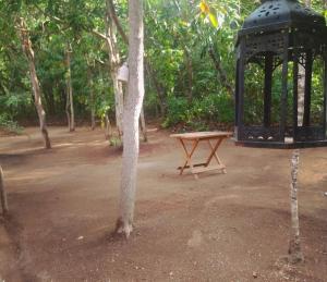uma mesa de piquenique e um gazebo num parque em Espaço Ecológico Bosque Ava em Cavalcante