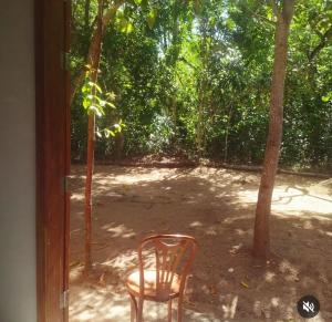 a chair sitting outside of a window with trees at Espaço Ecológico Bosque Ava in Cavalcante