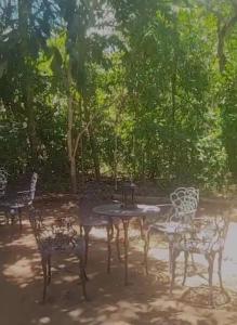 a group of chairs and tables in front of trees at Espaço Ecológico Bosque Ava in Cavalcante