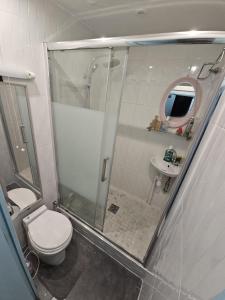 a bathroom with a shower and a toilet and a sink at 4 Chambres television -Jean Macé in Fontenay-sous-Bois +18 photos