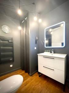 ein Badezimmer mit einem weißen Waschbecken und einem Spiegel in der Unterkunft Grand studio confortable situé en centre ville in Gérardmer + 8 Fotos