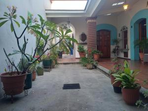 a courtyard with potted plants in a building at Céntrica y confortable habitación in Oaxaca City